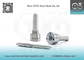 Injektoren R04701D /A 6640170221 L157PRD/PBD Delphi Nozzle For Common Rail